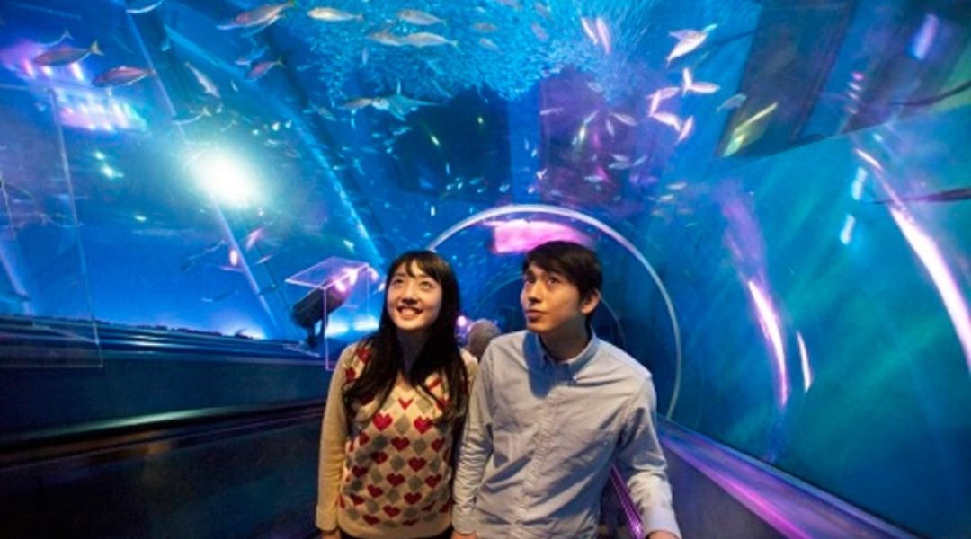 横浜・八景島シーパラダイス | FunNow - On-demand online booking